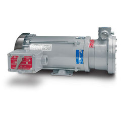 C10 PUMP W/ 1 HP SINGLE PHASE EXPLOSION PROOF MOTOR (2 x