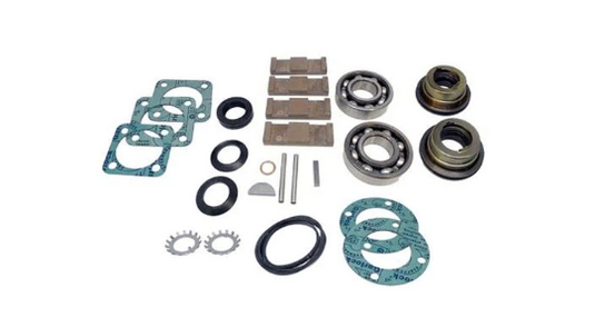 MAINT. KIT FOR BLACKMER (T)X2 PUMP VITON