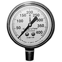 PRESSURE GAUGE 0-400 PSI,FOR NH3,2-1/2" FACE,SS CASE,1/4"