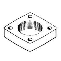 FLANGE-2 NPT