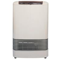 ENERGYSAVER 11,000 BTU DIRECT VENT HEATER W/BLOWER