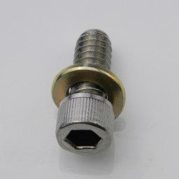 1/4"-20 x 5/8" SST socket head cap screw and lock washer