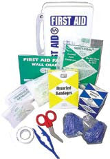 10 unit First Aid Kit