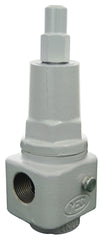 3/4" FPT High Flow Bypass Vlv 50-150 PSI differential range