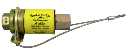 3/4" FPT Breakaway Coupling with Wire Lanyard
