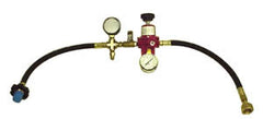 POL test kit with 0-300 gauge, ball valve, 67CH-743 regulator